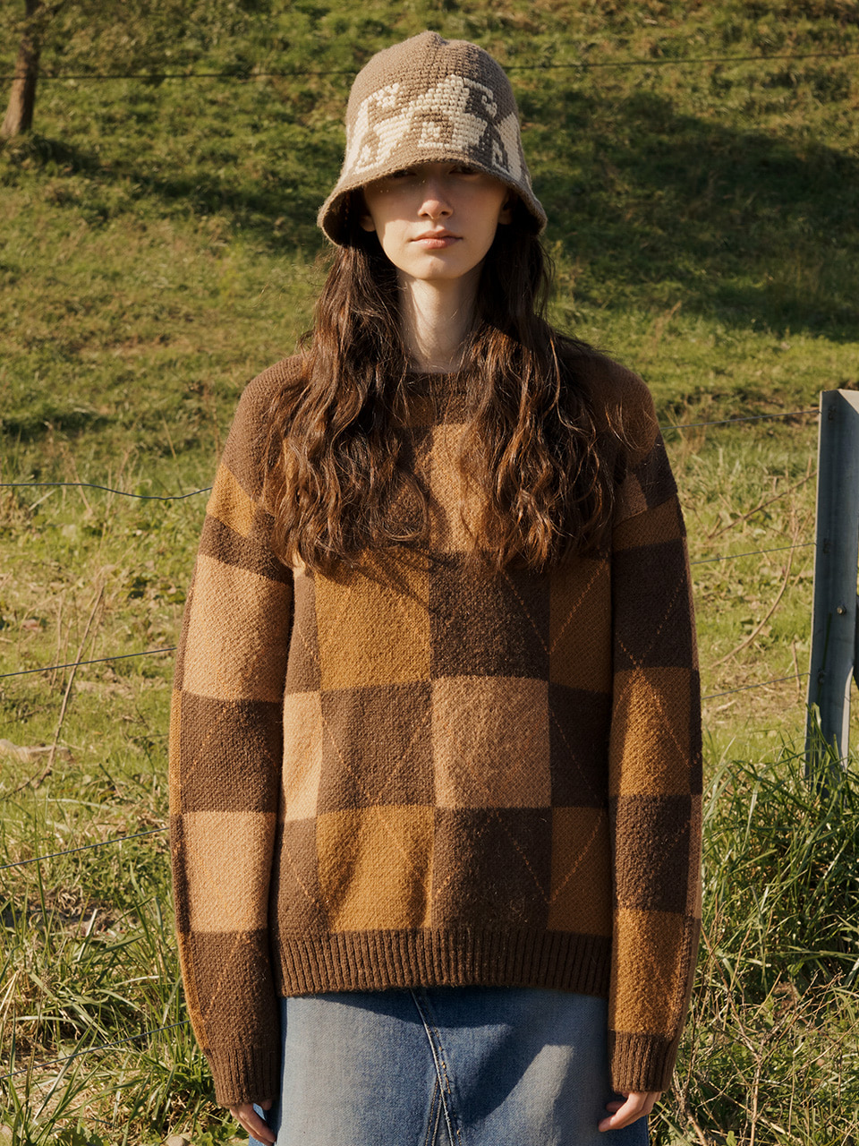 Transfrom Check Sweater Brown